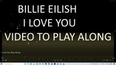 Billie Eilish – I Love You – Play Along video