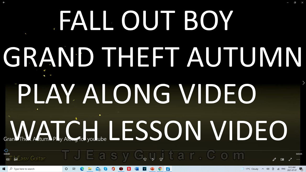 Video Image